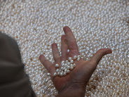 An der Perlenschale. Poem of Pearls. Foto: Kerstin Leitschuh